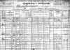 Click for enlarged image show Jacob Grossman and family on the 1900 Census form